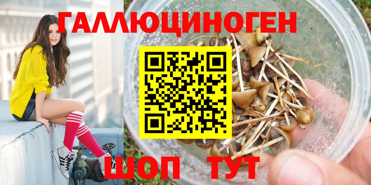 Псилоцибиновые грибы мицелий Топки